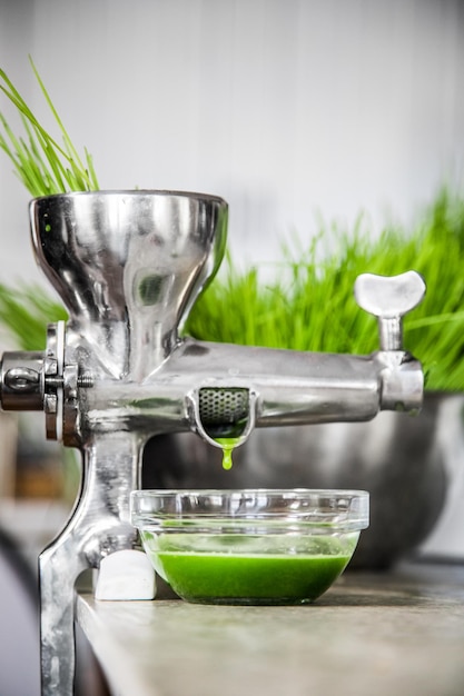 Extraction of Wheatgrass in Action on the Kitchen Countertop using a Manual Juicer