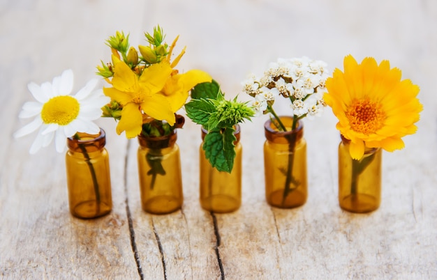 Extracts of herbs in small bottles. selective focus