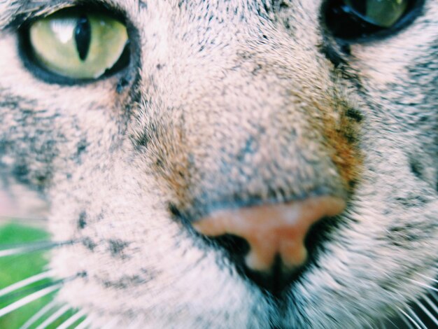 Extreme close up of eye