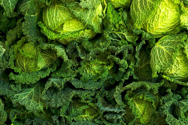 Extreme close up of green leaf