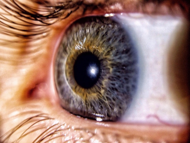 Photo extreme close-up of human eye