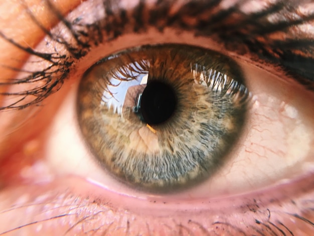Foto extreme close-up dell'occhio umano