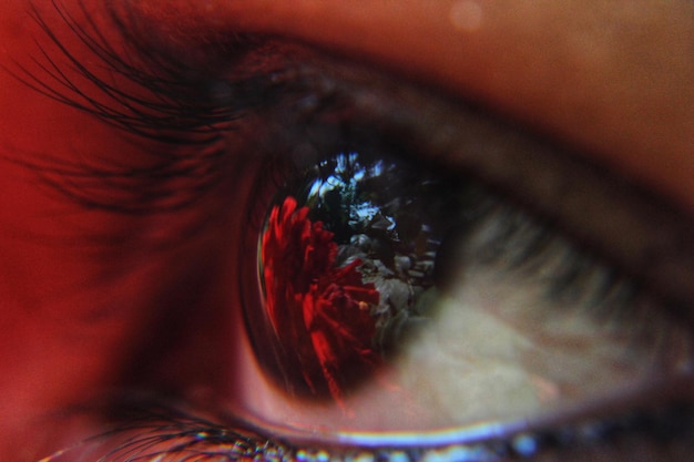 Photo extreme close-up of human eye