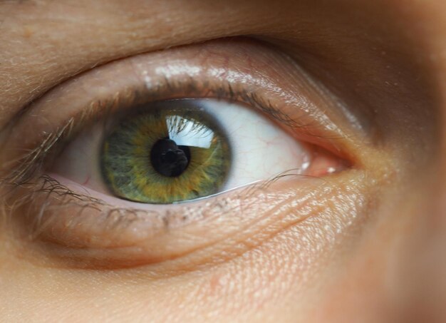 Extreme close-up of human eye