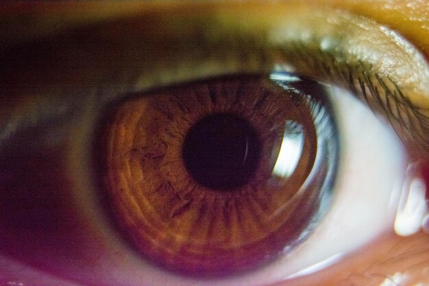 Photo extreme close-up of human eye