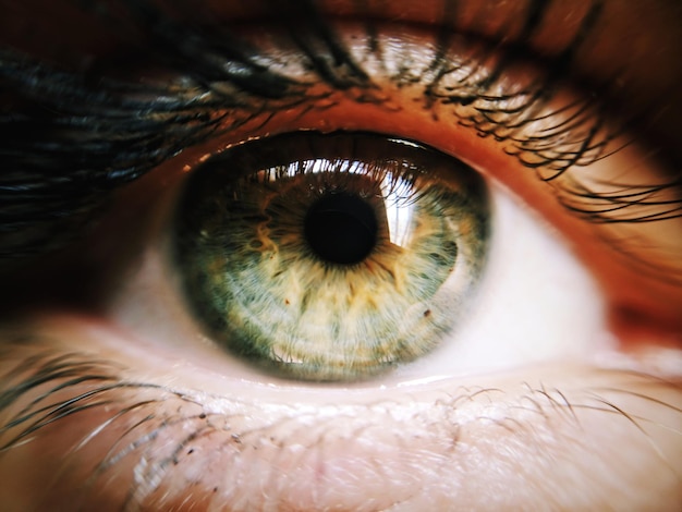 extreme close-up of human eye