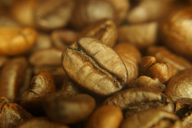 Extreme close up of leaves