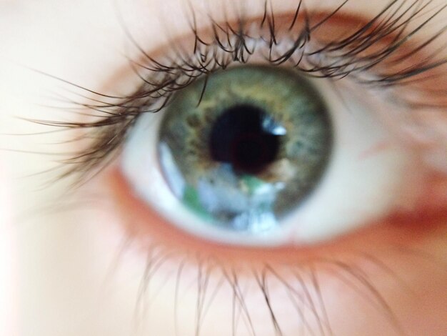 Extreme close-up portrait of person eye