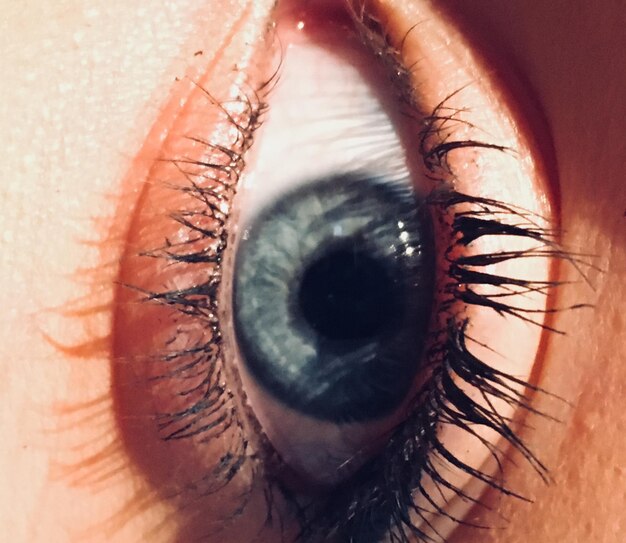 Extreme close-up portrait of woman eye