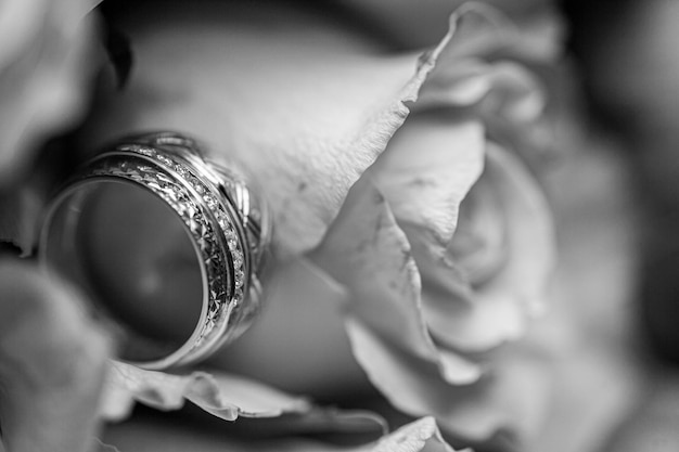 Photo extreme close-up of rings against rose