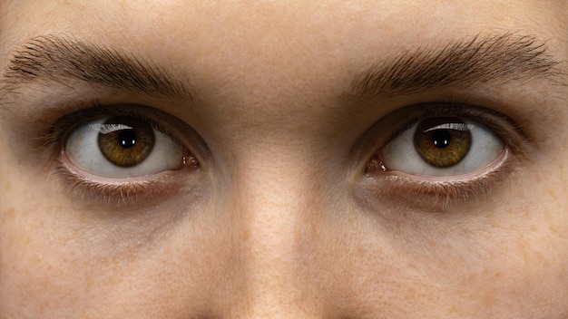Extreme close-up van de bruine ogen van een jonge vrouw Open mooie look Schone huid