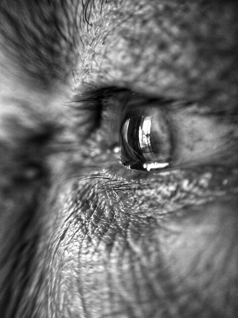 Foto extreme close-up van het menselijk oog