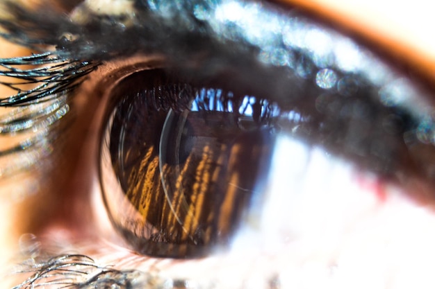 Extreme close-up van het oog van een vrouw