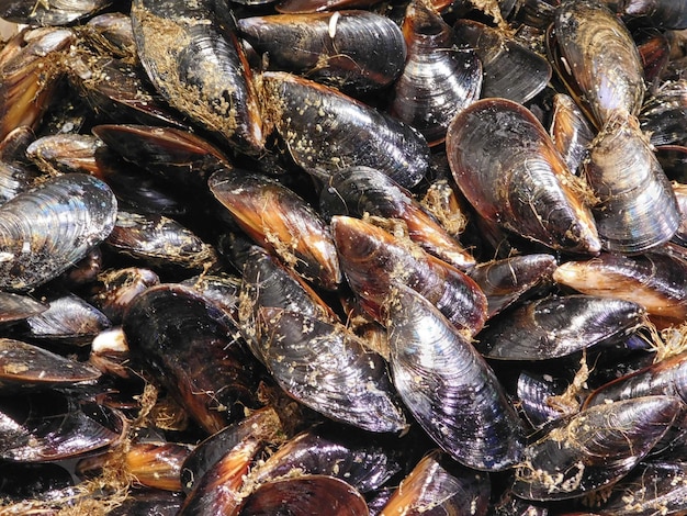 Extreme close-up van stenen