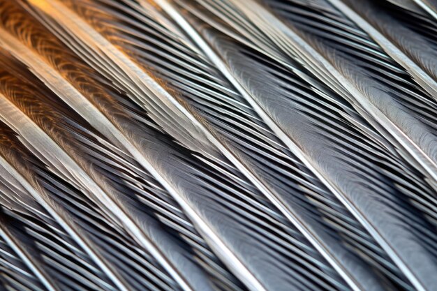 Photo extreme closeup of a dove feather revealing fine details