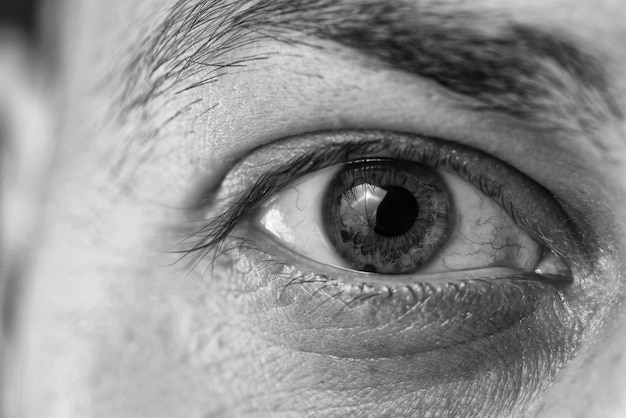 Extreme Closeup Shot Of A Beautiful Man Eye