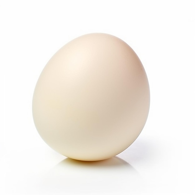 写真 元気いっぱいの鶏の卵