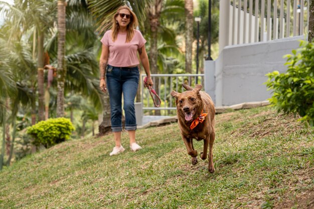 The exuberant dog runs towards the camera in the park accompanied by its owner