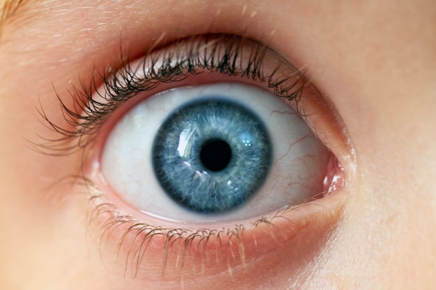 Photo eye of a blue woman