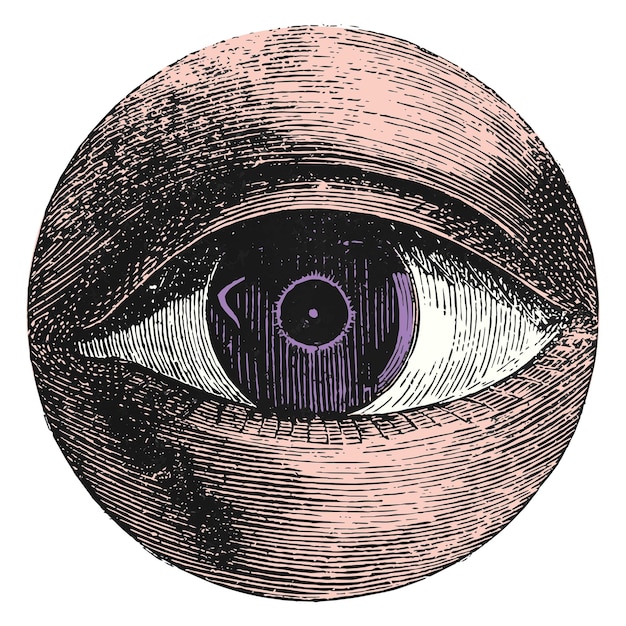 eye etching png sticker vintage illustration transparent background