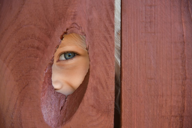 The eye of the girl looks through a hole in the fence.