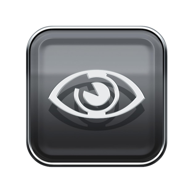 Photo eye icon glossy grey