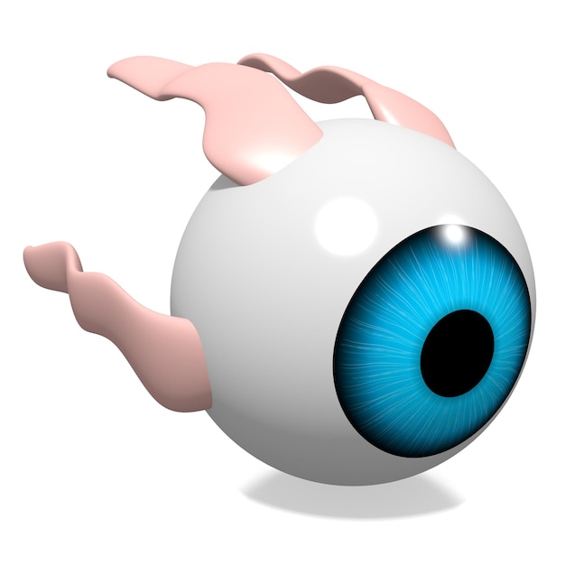 Глазное яблоко с мышцами, изолированными на белом фоне, концепция оптометрии 3D иллюстрация
