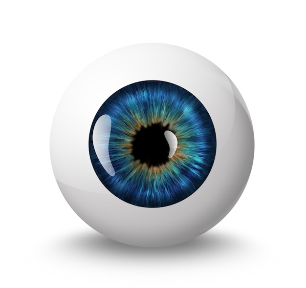 Photo eyeball with shadow on white background