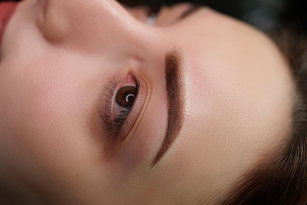 Eyebrows permanent makeup with shading photo after the procedure Eyebrow permanent makeup cosmetic procedure