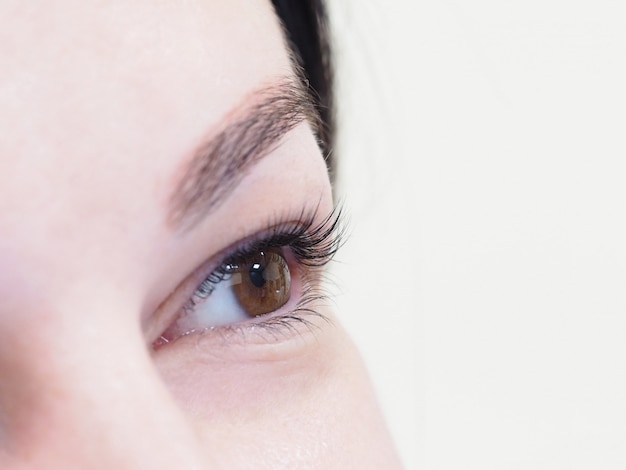 Eyelash extension. A woman's eye with lashes.