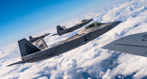 F22 roofvogel