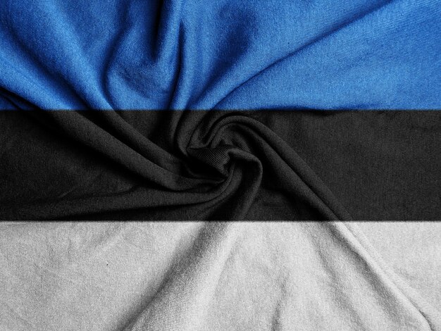 Fabric Flag of the Estonia National Flag of the Estonia