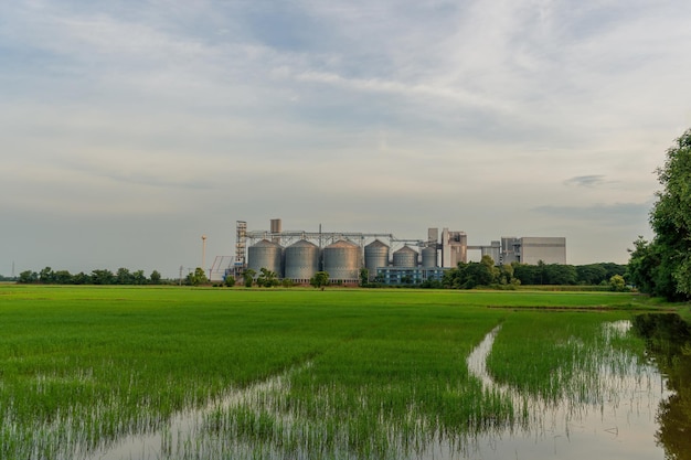 Fabriek met een groen veld.