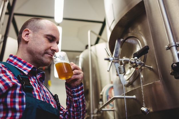 Fabrikant ruikend bier bij brouwerij