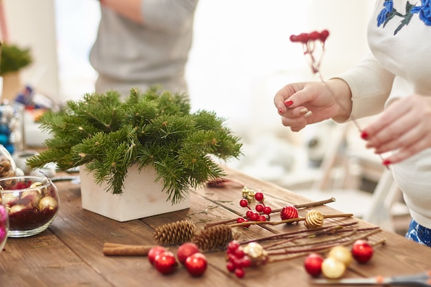 Fabrikant van kerstdecoratievakantie