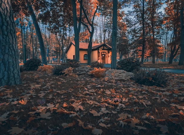 Photo fabulous magic house among the trees in the autumn park