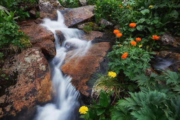 Сказочные горные ручьи, пышная зелень и цветы вокруг. талая родниковая вода с гор. волшебные виды на высокие горы