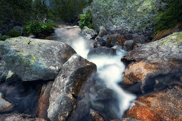 Fabulous mountain streams, lush greenery and flowers around. Thawed spring water from the mountains