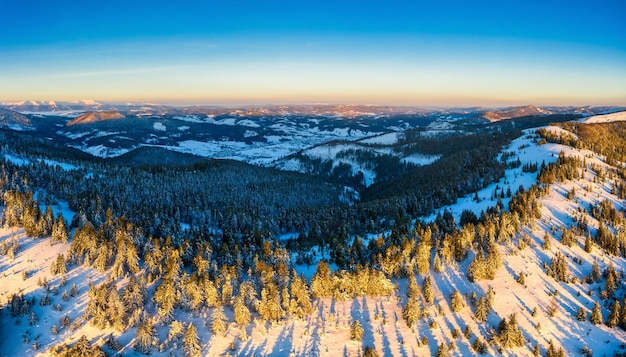 Сказочная заснеженная панорама елей