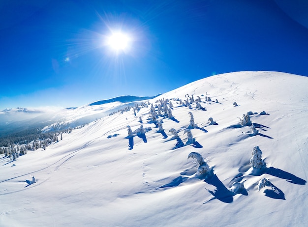 Fabulous view of the sunny winter slope with snowy trees located in the ski resort