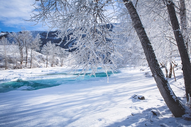 Фото Сказочный зимний пейзаж на берегу реки.