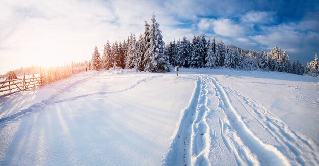 Fabulous winter landscape