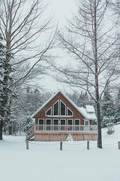 Photo facade of house in snowy forest photo