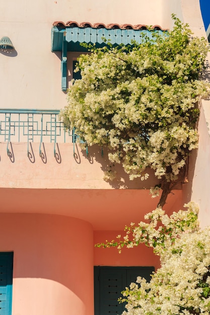 Facade of the house with white blooming bougainvillea