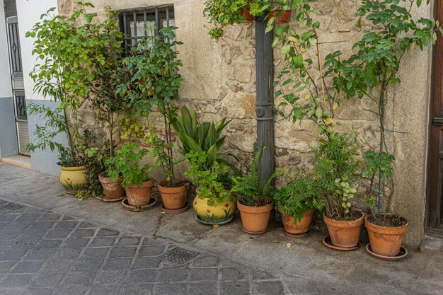 Facade of old building with flower pots. Tourism in central Spain, typical plant decoration