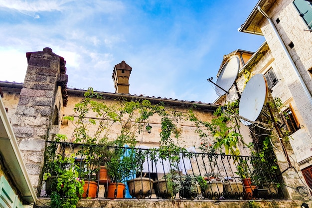 Facciata del vecchio palazzo e dei fiori