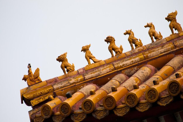 Foto dettagli della facciata e dei tetti, città proibita a pechino. palazzo imperiale in cina.