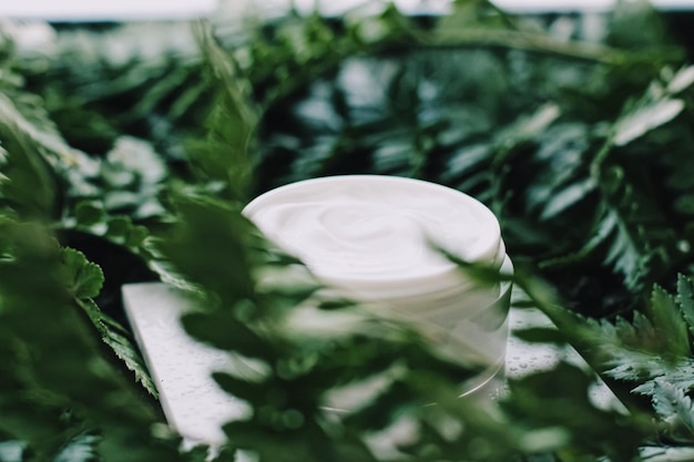 Баночка с увлажняющим кремом для лица в зеленом саду, натуральная косметика для ухода за кожей на травах и органический антивозрастной продукт для здоровья и красоты