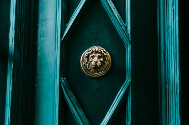 The face of a lion in gilding on a green door in a rhombus