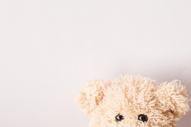 the face of teddy bear on white background